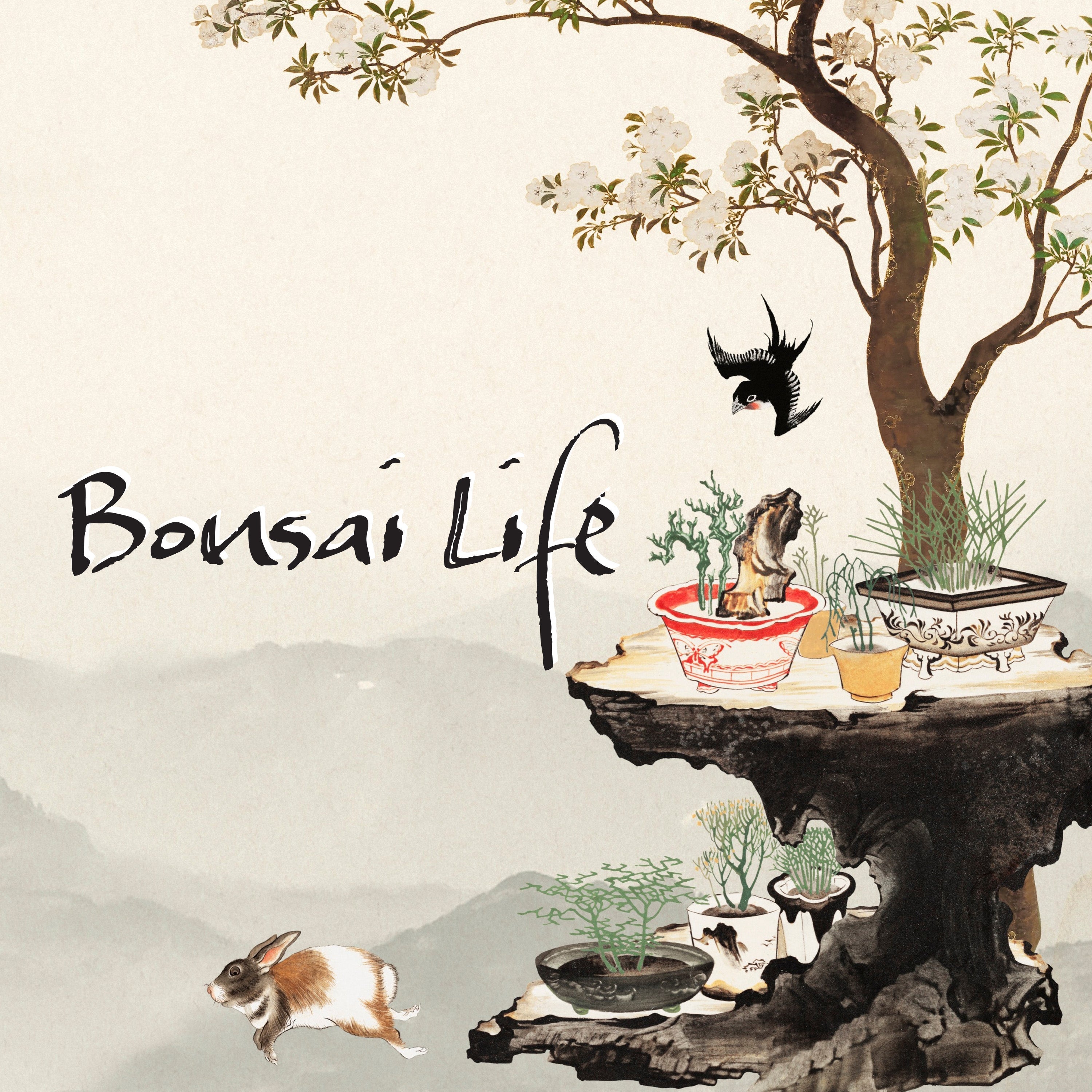 Bonsai Life